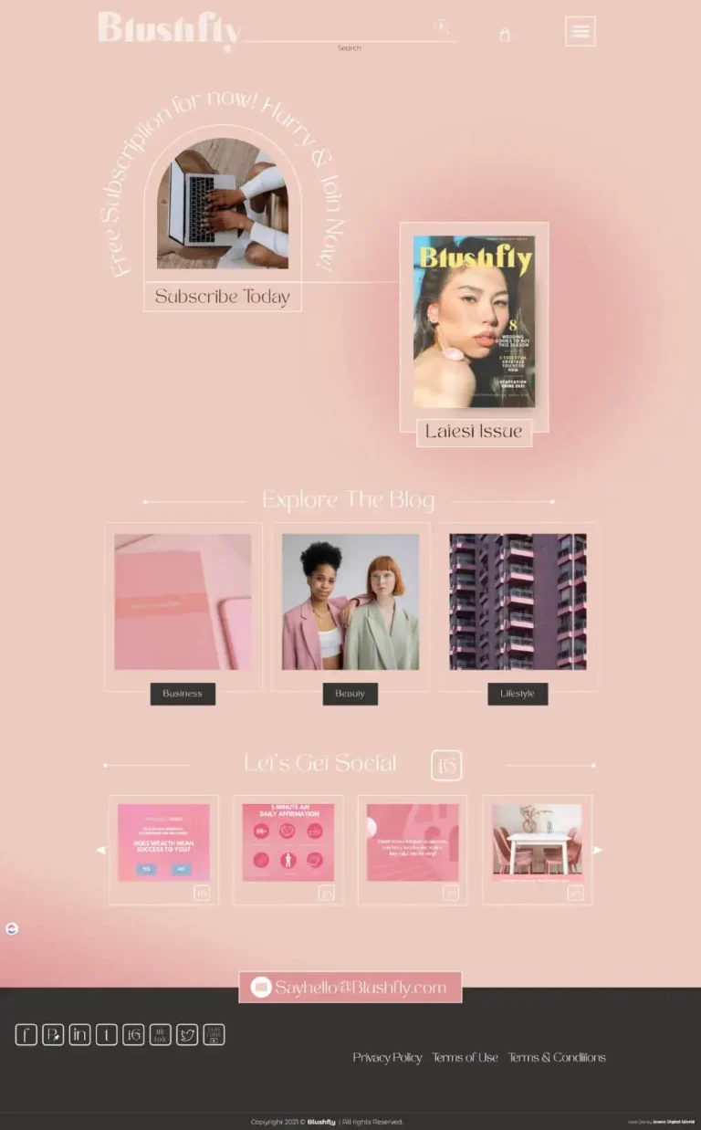 Blushfly-Website-Design-Homepage