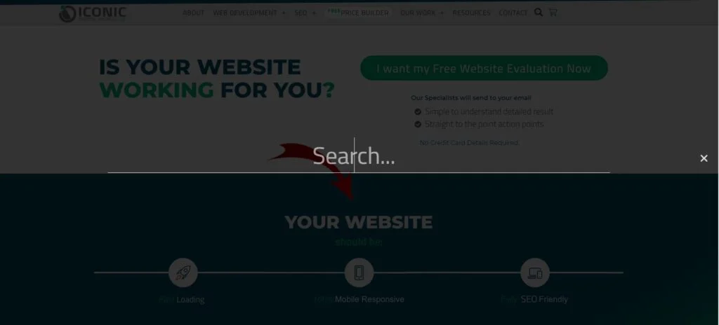 Search function